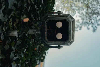 Winmasters Casino App Mobile